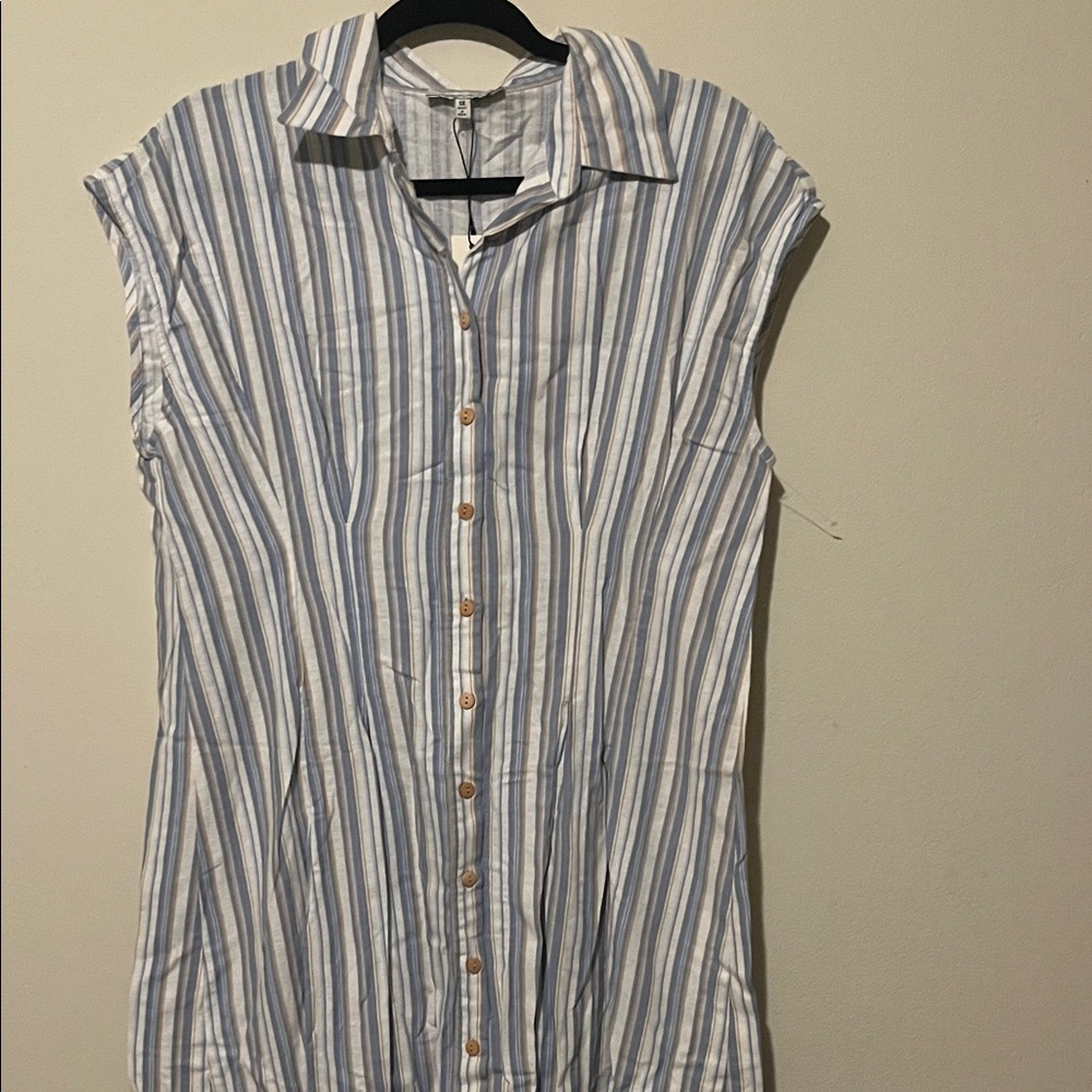 Blue and White Striped Button-Up Dress